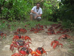 Ian_Usher_Christmas_Island_Crabs